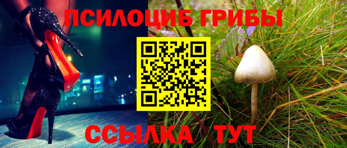 Заринск  Галлюциногенные грибы ЛСД  Вход с VPN 